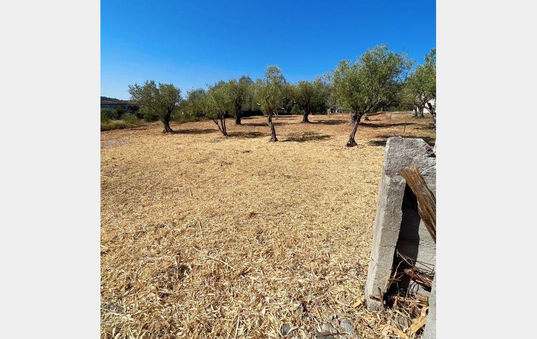 SOLIMMO : Ground | LES MAGES (30960) | 990 m2 | 81 400 € 